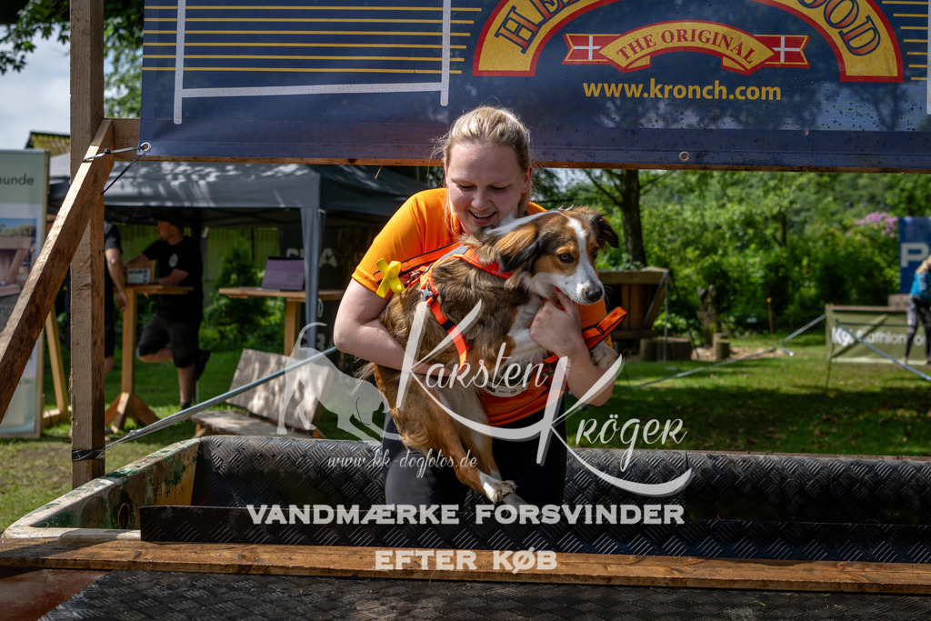 1133_ZZ94561 | kk-dogfotos