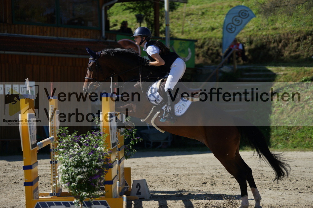 DSC02398 | equestrian-live-com