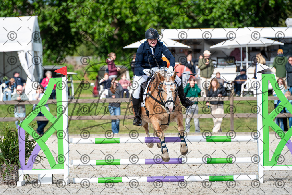 KPT_6705 | andre_photographic