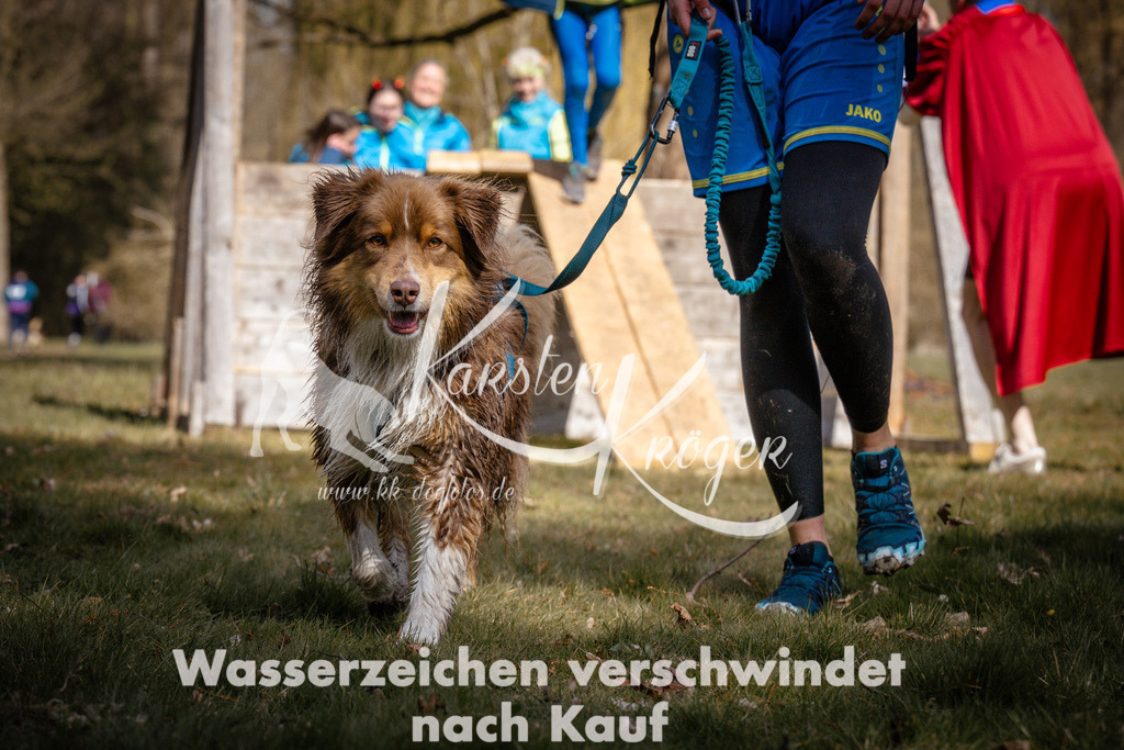 1038_ZZ98312 | kk-dogfotos