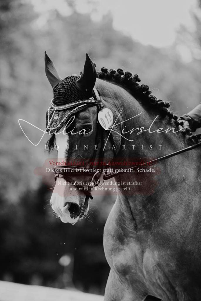 DSC_9841 | Pferde- und Turnierfotografie in Westsachsen. Pferdeportraits, Auftragszeichnungen und intuitive Kunst.