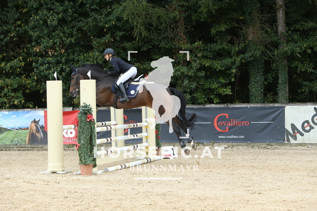 DL2Q2080 | Willkommen bei Brunnmayr - Design & Fotografie – Ihrem Spezialisten für Reitturniere und Pferdeveranstaltungen in Oberösterreich, Salzburg und Bayern! Seit über 17 Jahren sind wir leidenschaftlich dabei.