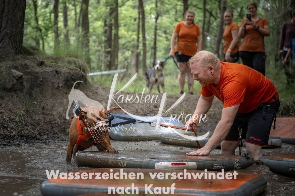 1215_ZZ98096T | kk-dogfotos