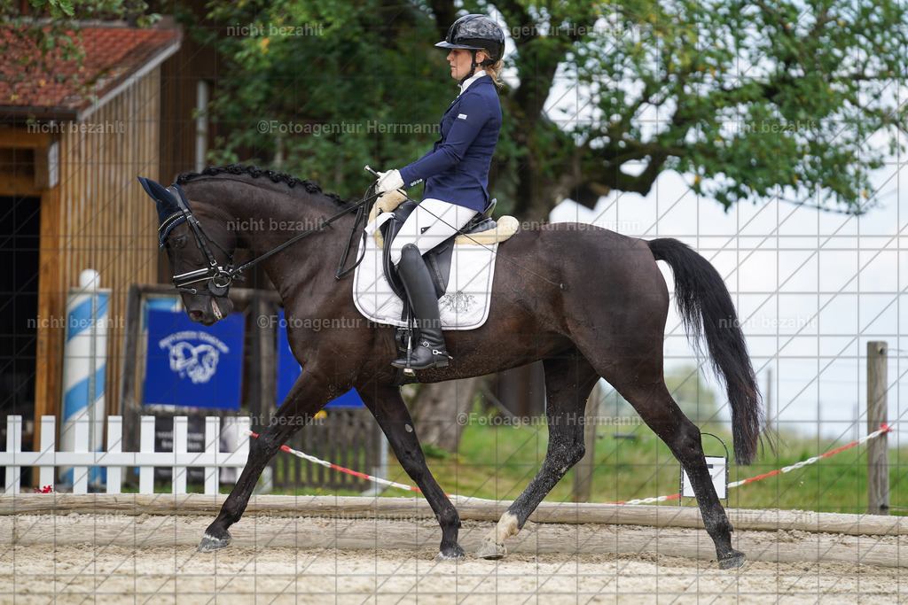 20230826-FAH05650 | Forstinning, 2023, Dressurturnier, Turniersportbilder, Turnierfotografen Bayern, Fotoagentur Herrmann, Reitsportfotografie, Turnierbilder