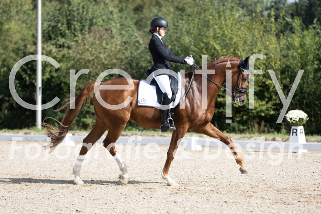 IMG_3140 | Creatify Fotografie