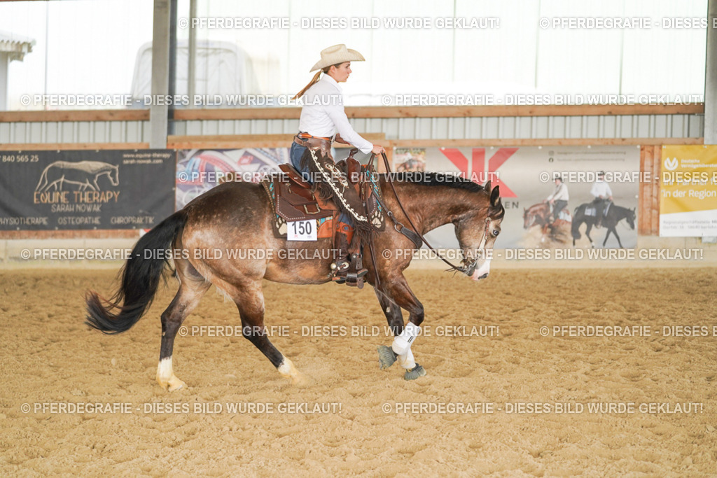 DSC01405 | Pferdegrafie