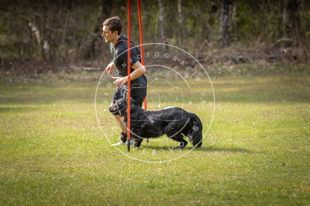 Pfotenfotografie_DV3A9805 | Hundefotografie, Tierfotograf, Pfotenfotografie, Fotoshooting Hund, Hunde Portrait, Hundesport, Hundeportraits, Heideshooting, Hunde, Sportfotograf, Hundefotograf, Turnierhundsport, THS,  - Realisiert mit Pictrs.com