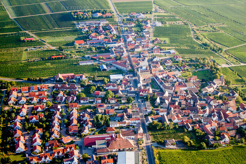 Luftbild: Weinbergen in Herxheim am Berg im Bundesland Rheinland-Pfalz in Deutschland. Foto: IMG_44426.jpg vom 20.08.2011 durch Werner Riehm/FLY-FOTO.de