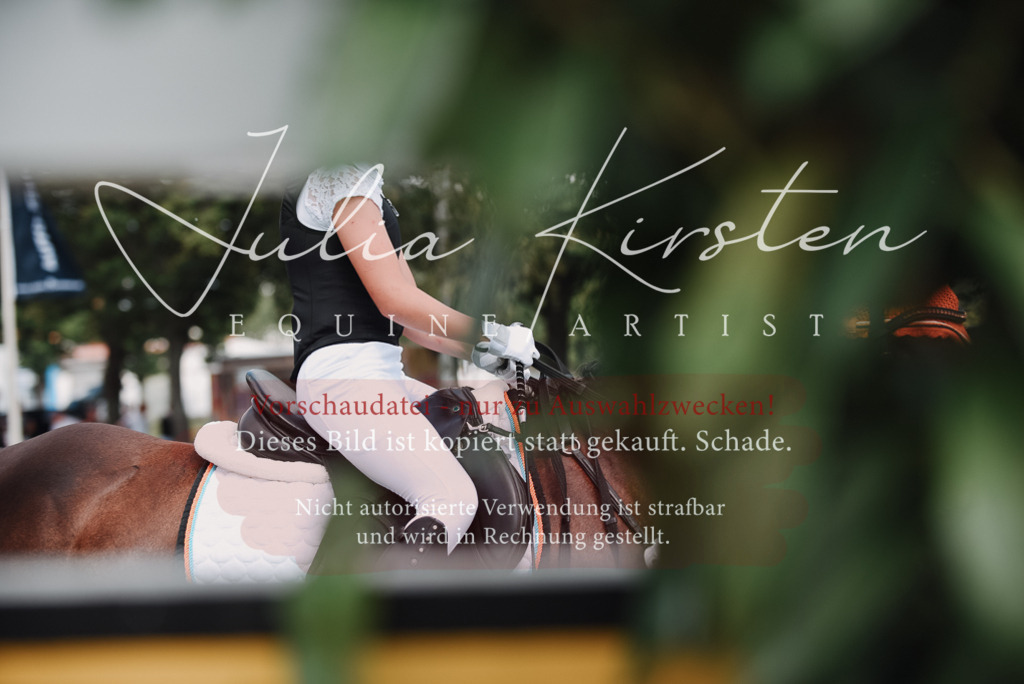 DSC_5691 | Pferde- und Turnierfotografie in Westsachsen. Pferdeportraits, Auftragszeichnungen und intuitive Kunst.
