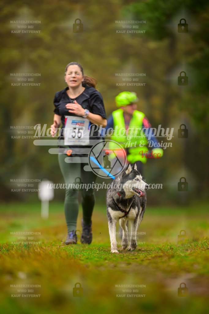 MompixPhotography_Bischwiller2025_Canicross-186 | mompixphotography