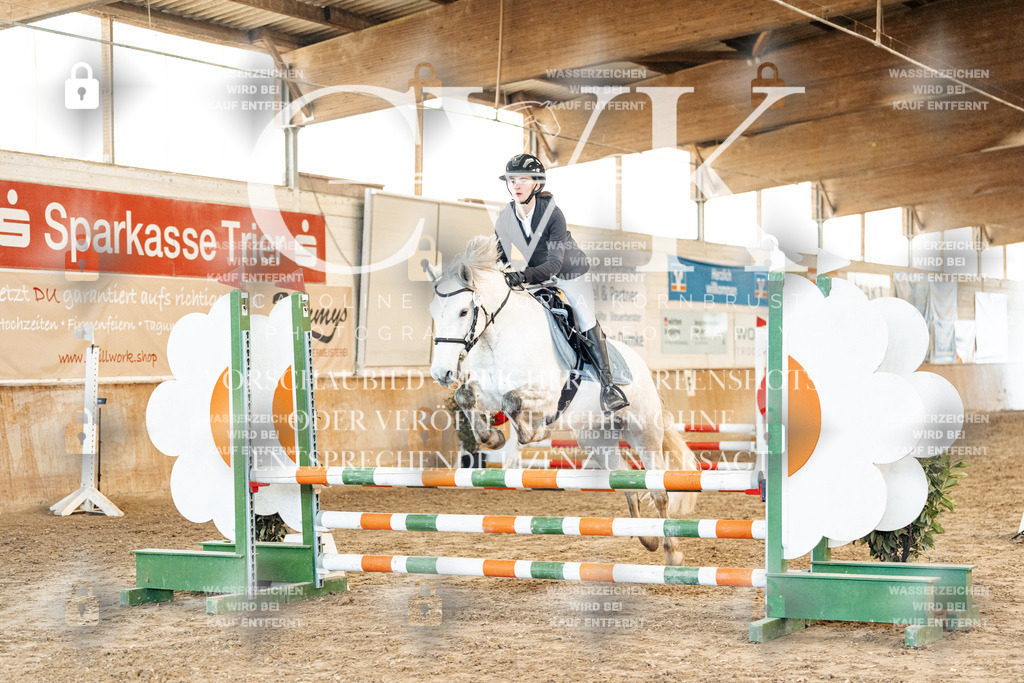 CK904058 | Turnierfotografie Pferdefotografie Trier Rheinland-Pfalz Pferdesport Reitsport Tierfotografie Sportfotografie Pferdevideo Pferdevideografie Equestrianvideography equestrianphotography  - Realized with Pictrs.com