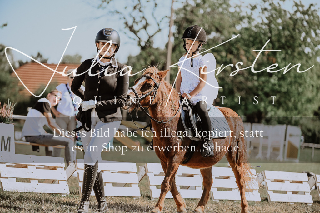 DSC_8875 | Pferde- und Turnierfotografie in Westsachsen. Pferdeportraits, Auftragszeichnungen und intuitive Kunst.