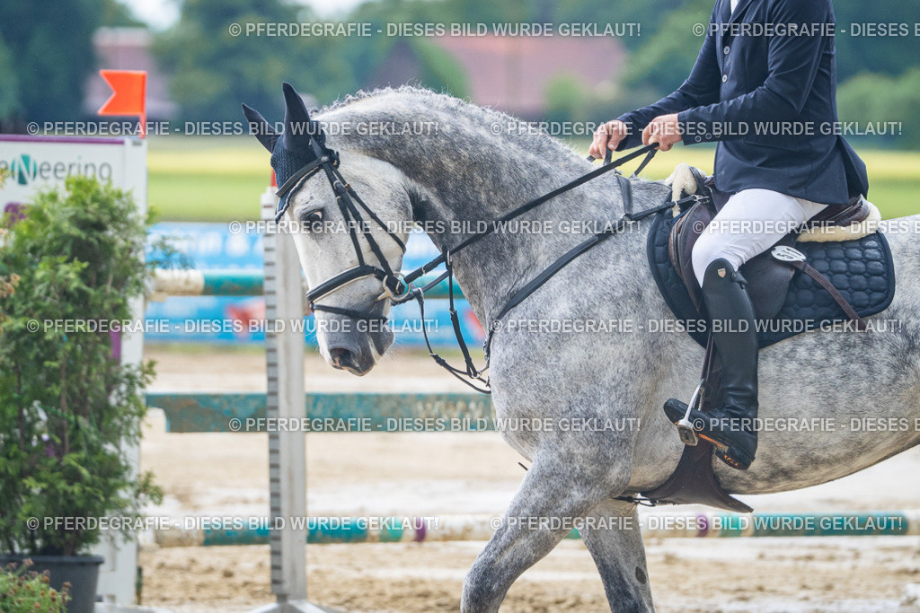 DSC04467 | Pferdegrafie