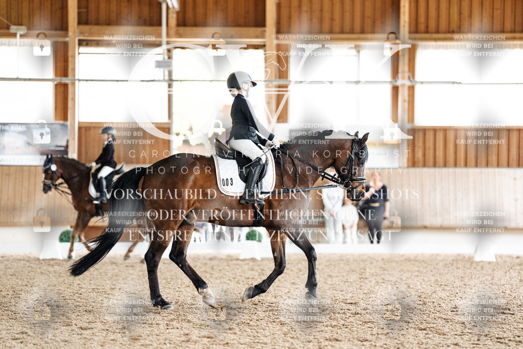CK901721 | Turnierfotografie Pferdefotografie Trier Rheinland-Pfalz Pferdesport Reitsport Tierfotografie Sportfotografie Pferdevideo Pferdevideografie Equestrianvideography equestrianphotography  - Realisiert mit Pictrs.com
