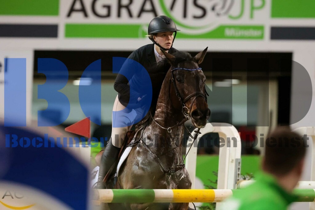 Agravis Cup 2024 - Derby-Pferdefutter Preis {date} -  | {headline}



(Foto: Sebastian Sendlak / BOND)

 - Realisiert mit Pictrs.com