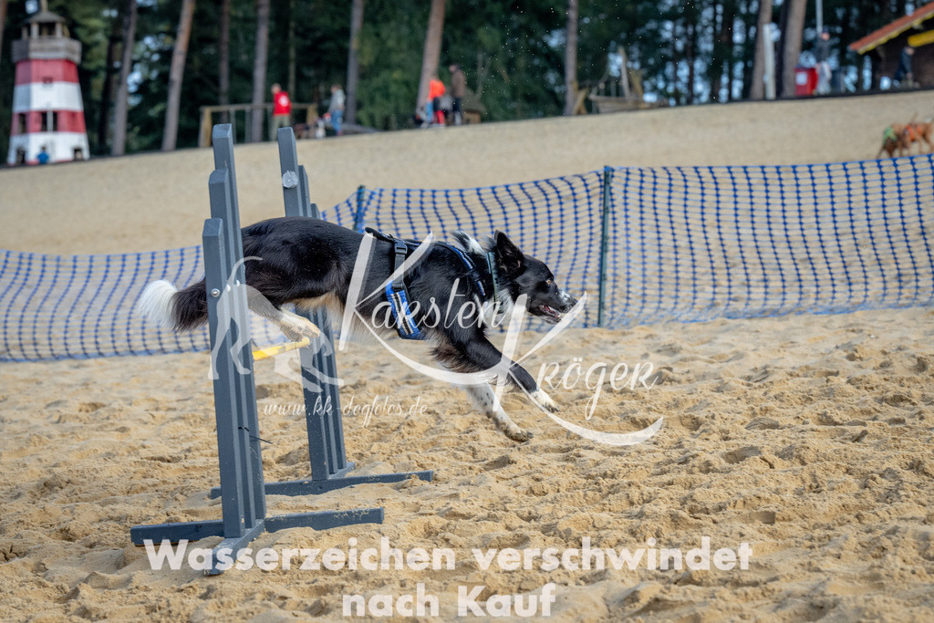0940_ZZ92670 | kk-dogfotos