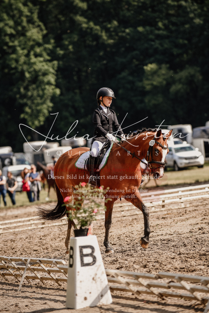 DSC_9173 | Pferde- und Turnierfotografie in Westsachsen. Pferdeportraits, Auftragszeichnungen und intuitive Kunst.