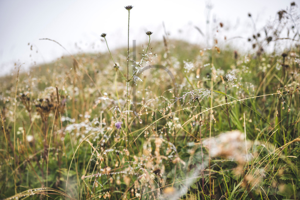 Gebirgsmarathon 2022 | Gebirgsmarathon 2022 - Einer der anspruchsvollsten
​und ältesten Bergläufe
​Deutschlands im Naturpark Nagelfluhkette!

Gebirgsmarathon, 31km, 3050hm
Gebirgstrail, 15km, 1500hm

Foto: Dominik Berchtold
Instagram: d_berchtold_foto
Facebook: d-berchtold-foto