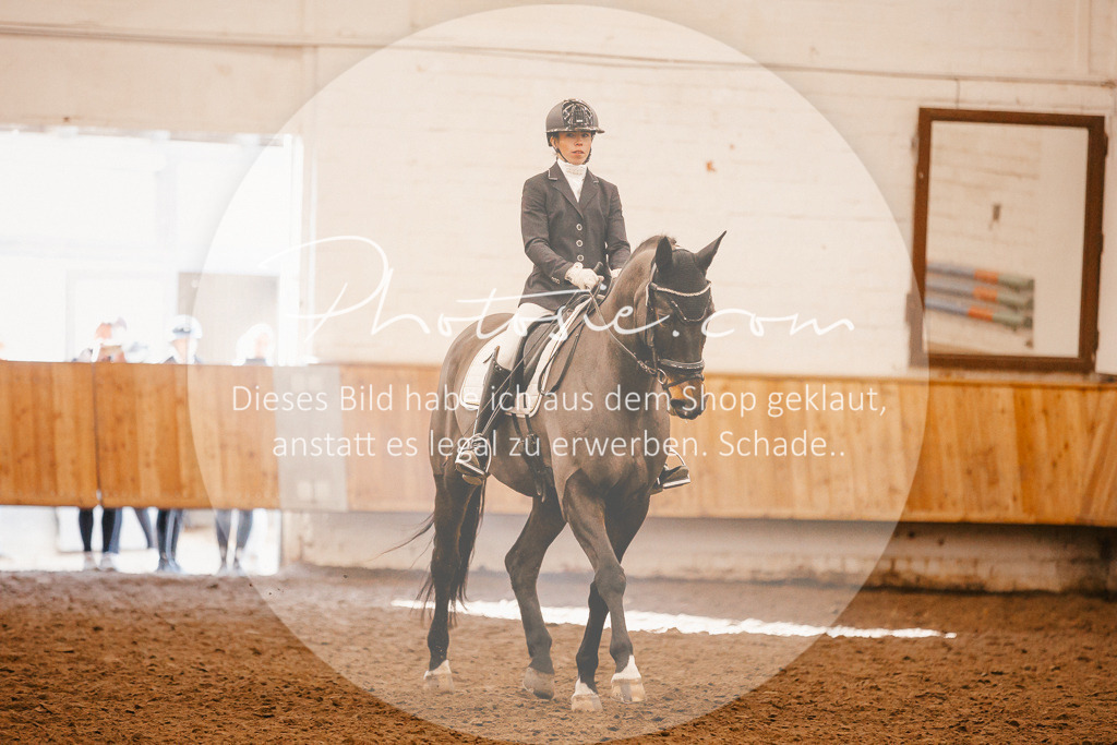 3I6A2080 | Stimmungsvolle Portraits und Reitsportfotografie im Ruhrgebiet und im Münsterland.

Pferdefotografie, Hundefotografie, Tierfotografie, Reportagen, Portraits von Tier und Mensch, Turnierfotografie in Bochum, Recklinghausen, Marl, Haltern am See, Dülmen.. - Realisiert mit Pictrs.com