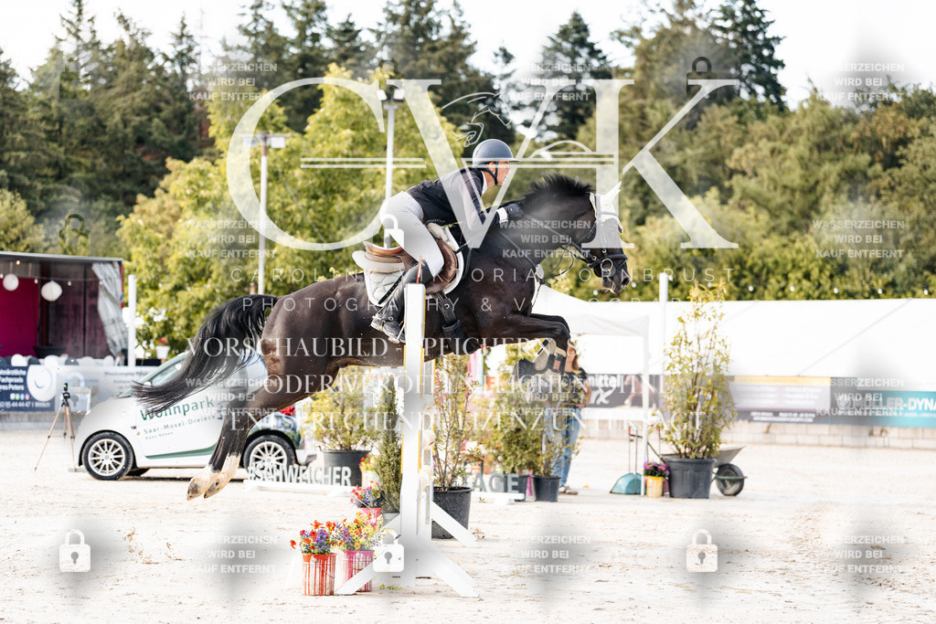 CK903200 | Turnierfotografie Pferdefotografie Trier Rheinland-Pfalz Pferdesport Reitsport Tierfotografie Sportfotografie Pferdevideo Pferdevideografie Equestrianvideography equestrianphotography  - Realisiert mit Pictrs.com