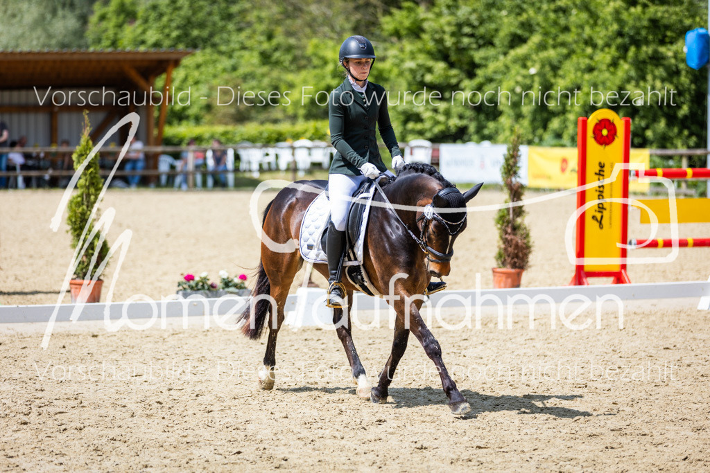 Donop24-EDre-038 | MomenTaufnahmen Pferdesportfotos