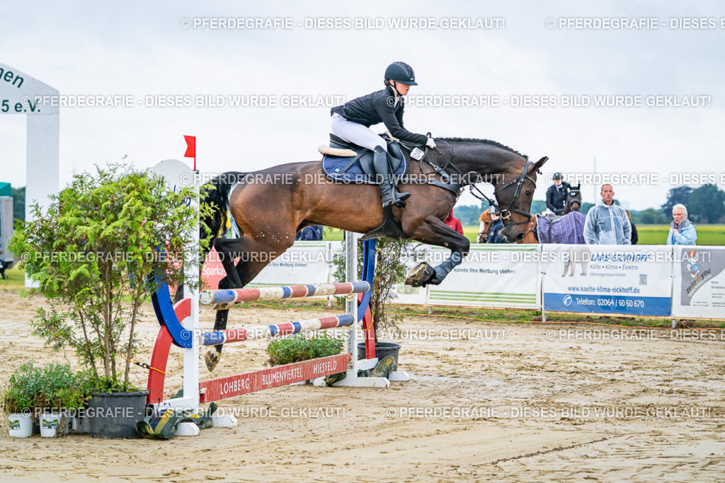 DSC02031 | Pferdegrafie