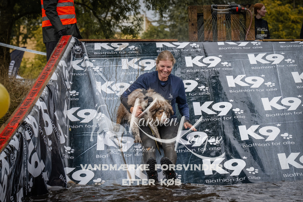 1210_ZZ94551 | kk-dogfotos