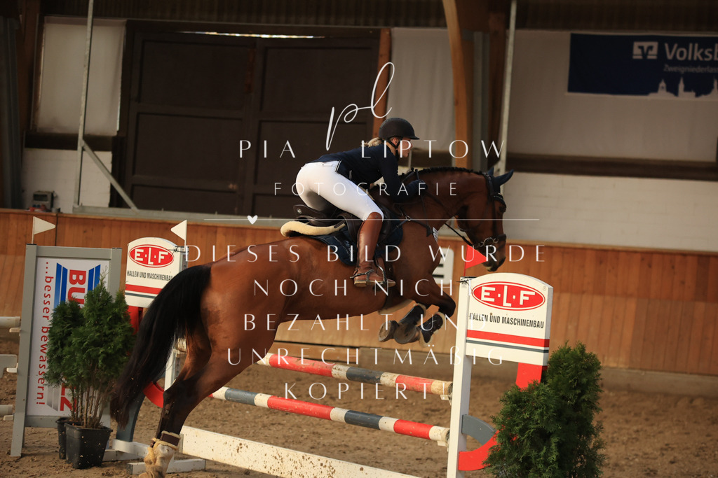 IMGT6475 | pl-fotografie