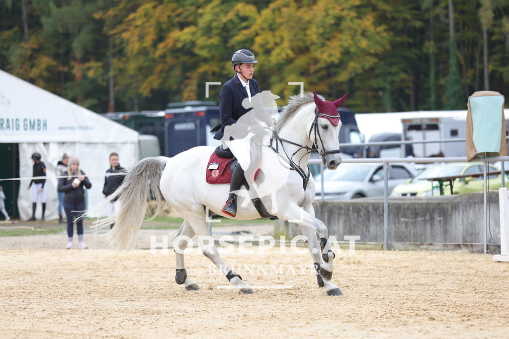 0P6A2169 | Willkommen bei Brunnmayr - Design & Fotografie – Ihrem Spezialisten für Reitturniere und Pferdeveranstaltungen in Oberösterreich, Salzburg und Bayern! Seit über 17 Jahren sind wir leidenschaftlich dabei.