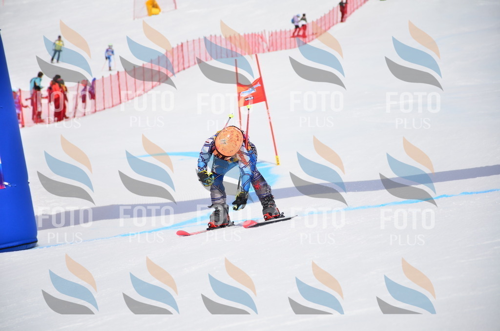 VR4_7537 | holidayphoto