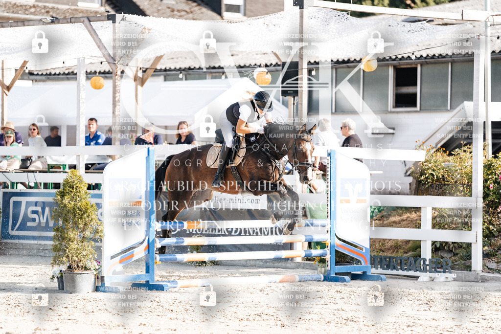 CK909518 | Turnierfotografie Pferdefotografie Trier Rheinland-Pfalz Pferdesport Reitsport Tierfotografie Sportfotografie Pferdevideo Pferdevideografie Equestrianvideography equestrianphotography  - Realisiert mit Pictrs.com
