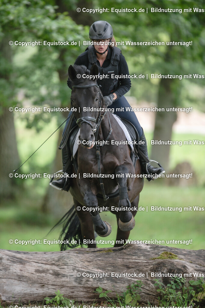 20250726_Vielseitigkeitslehrgang-Marbach_0750 | Foto: Thomas Hartig