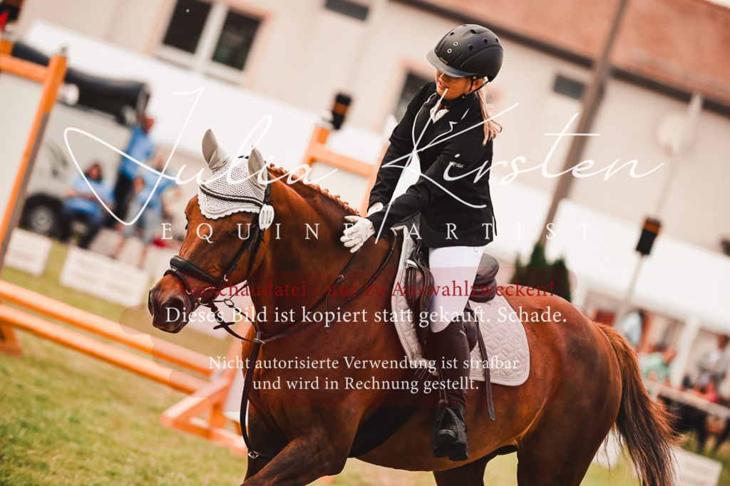 DSC_6888 | Pferde- und Turnierfotografie in Westsachsen. Pferdeportraits, Auftragszeichnungen und intuitive Kunst.