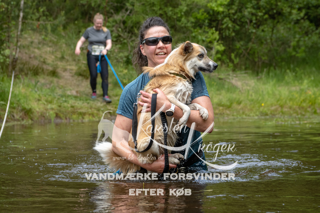 1111DKK994331 | kk-dogfotos