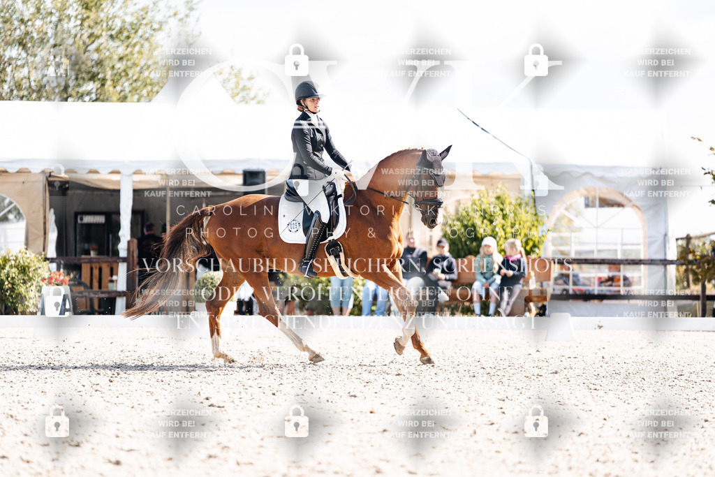 CK902217 | Turnierfotografie Pferdefotografie Trier Rheinland-Pfalz Pferdesport Reitsport Tierfotografie Sportfotografie Pferdevideo Pferdevideografie Equestrianvideography equestrianphotography  - Realisiert mit Pictrs.com