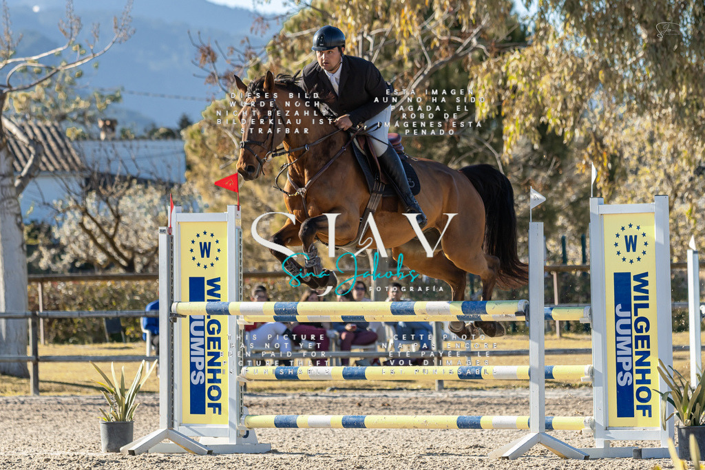 IMG_2063 | s-jay-photography - Realisiert mit Pictrs.com