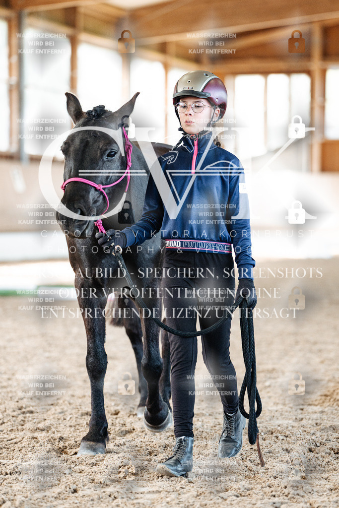 CK906032 | Turnierfotografie Pferdefotografie Trier Rheinland-Pfalz Pferdesport Reitsport Tierfotografie Sportfotografie Pferdevideo Pferdevideografie Equestrianvideography equestrianphotography  - Realisiert mit Pictrs.com