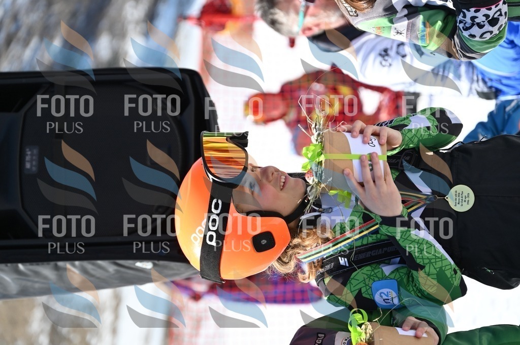 C7249 | holidayphoto