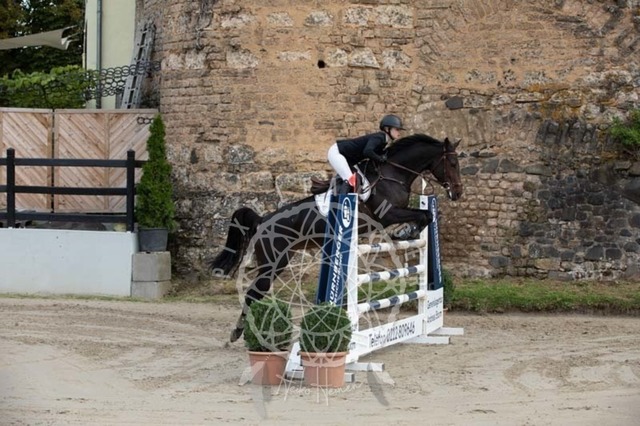 2B4A1139 | pixelfaenger - Realisiert mit Pictrs.com