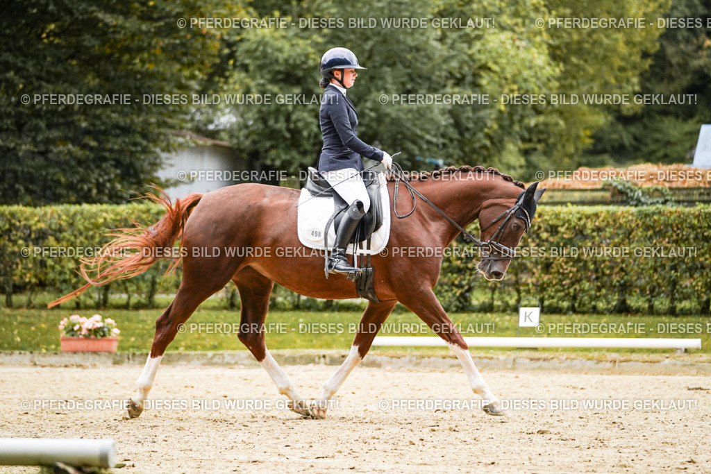 DSC06961 | Pferdegrafie