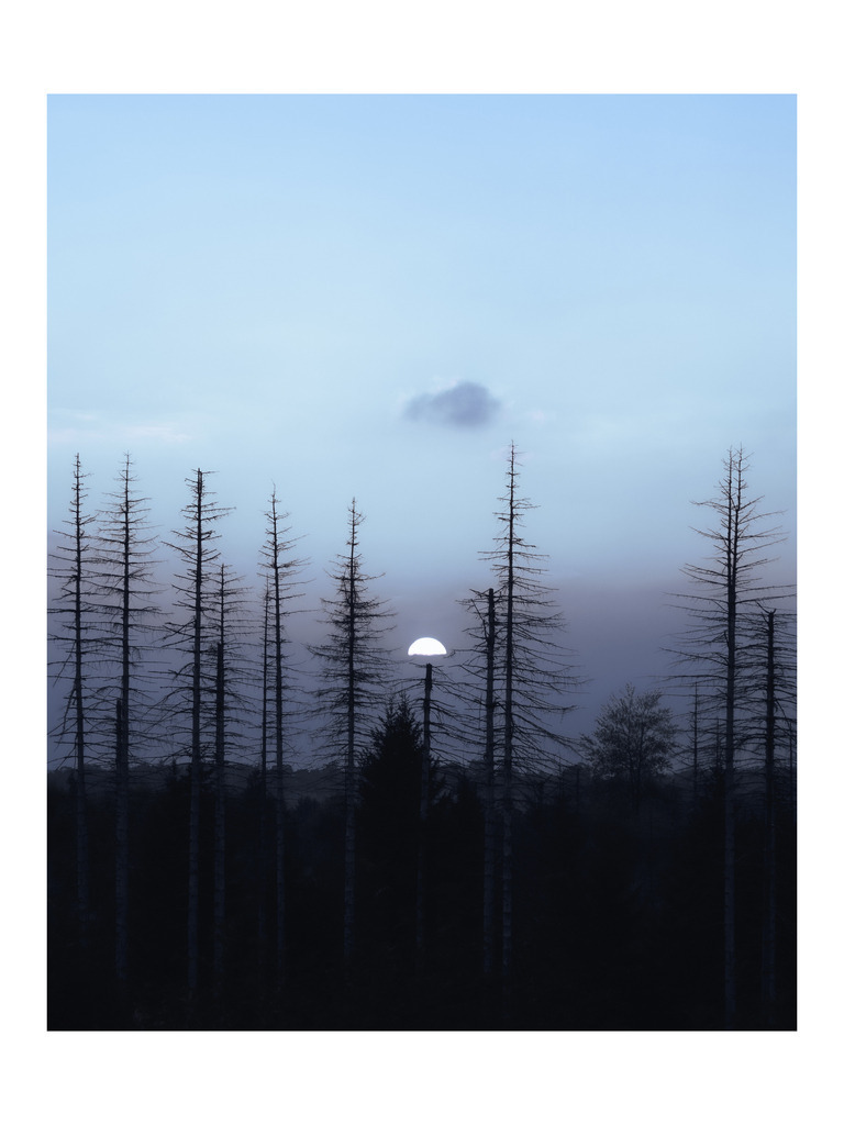 Solace | Captured on 26 August 2026 in the Harz, Germany, Solace rests between change and continuity. Among silhouettes touched by loss, stillness meets passing and farewell meets consolation — a quiet reflection on how time can soften grief and make room for what may yet come. - Realisiert mit Pictrs.com