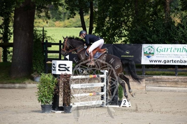 2B4A3580 | pixelfaenger - Realisiert mit Pictrs.com