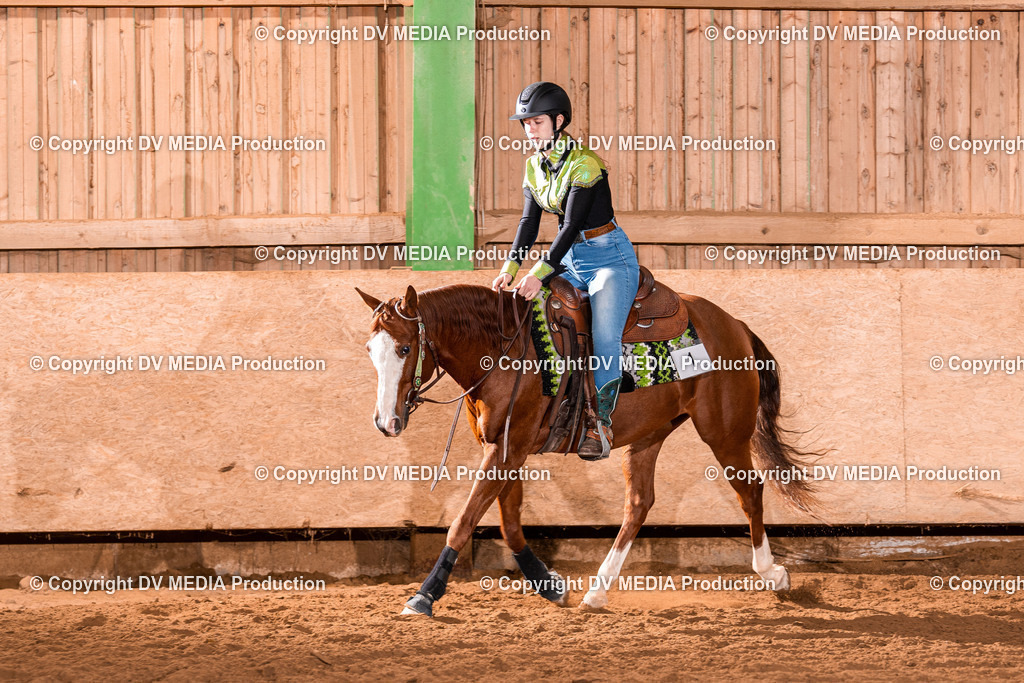 Balingen Tag 2-1276 | dv-media-shop - Realisiert mit Pictrs.com