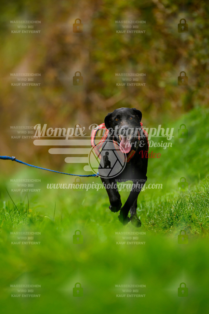 MompixPhotography_20TSB_E8_Bike-151 | PayLife