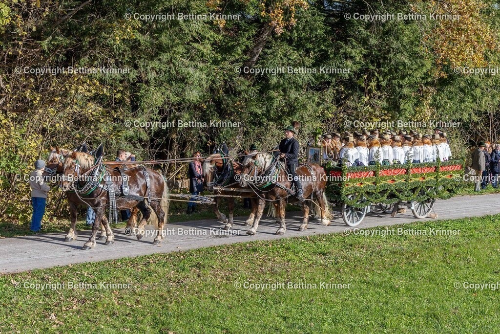 LBT24-318 | foto-bettina-krinner - Realisiert mit Pictrs.com