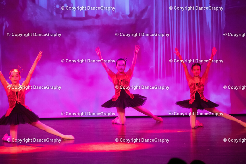 GPHY2145 | DanceGraphy - Realisiert mit Pictrs.com