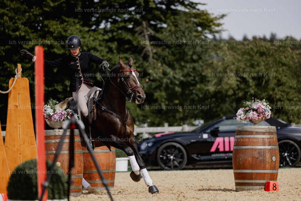 Virginie12FHC2025-20659 | working equitationturnier fotograf videograf stoibphotography marixx film working equitation deutschland reitsport turnierfotografie eventfotografie equestrian events