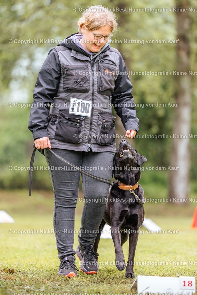 RO-Blumenthal-2026-Nickbest-Hundefotografie-5143 | Dein Hund! Dein Moment! Deine Erinnerungen! Hundefotografie in Bremen Blumenthal. Ich fange die besonderen Momente deines Vierbeiners ein – ob Indoor mit Blitzanlage oder in der freien Natur. Sicher dir dein Moment und dein Termin für eure Erinnerungen.