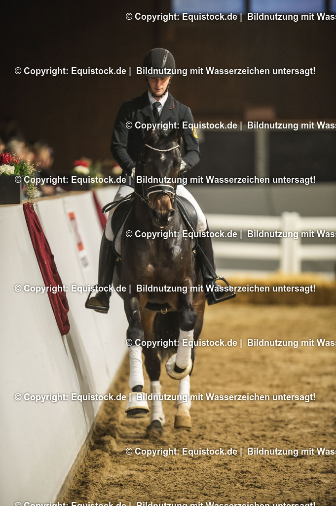 20240302_Hengstvorstellung_Marbach_TOMsPiC_0410-2 | equistock