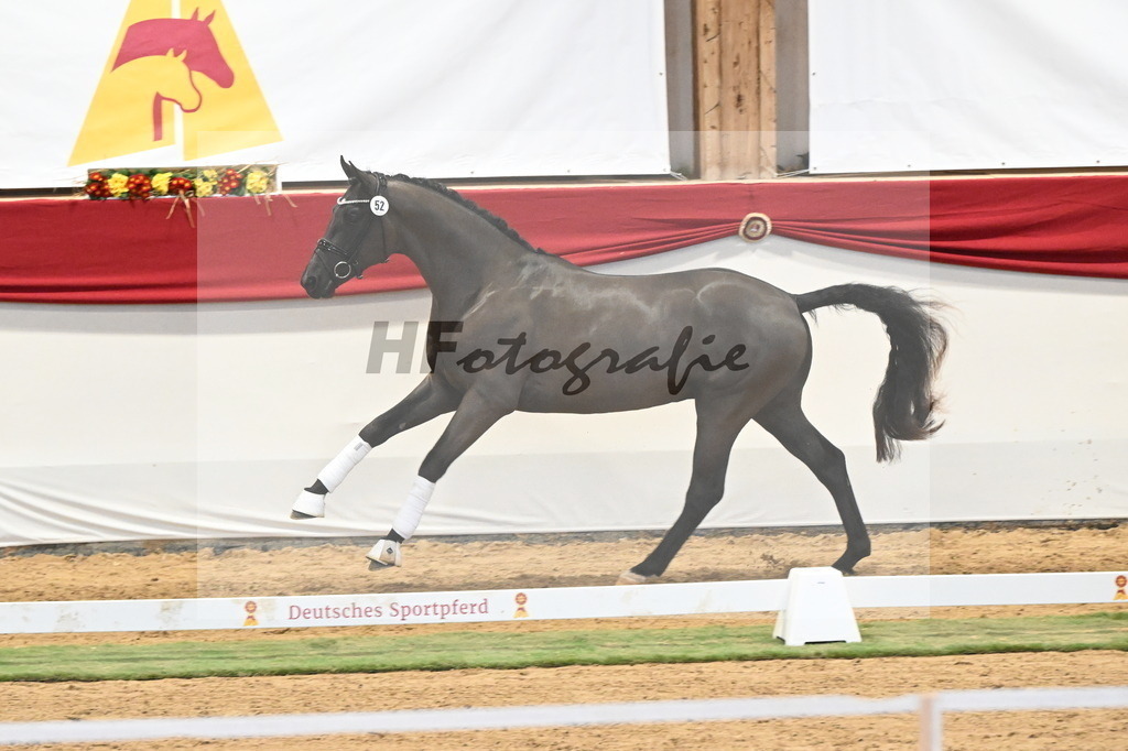 Kat.-Nr. 52 v. Fanegro_Schulze Averdiek_3260314 | hf-fotografie - Realizzato con Pictrs.com